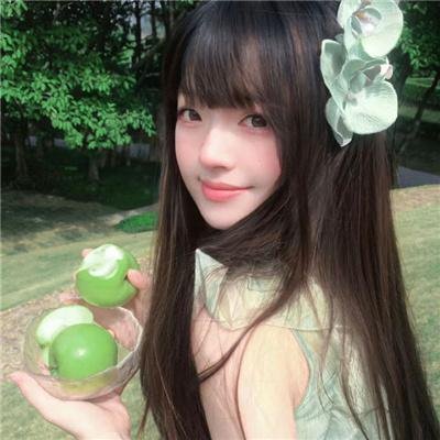 宝嘉先生